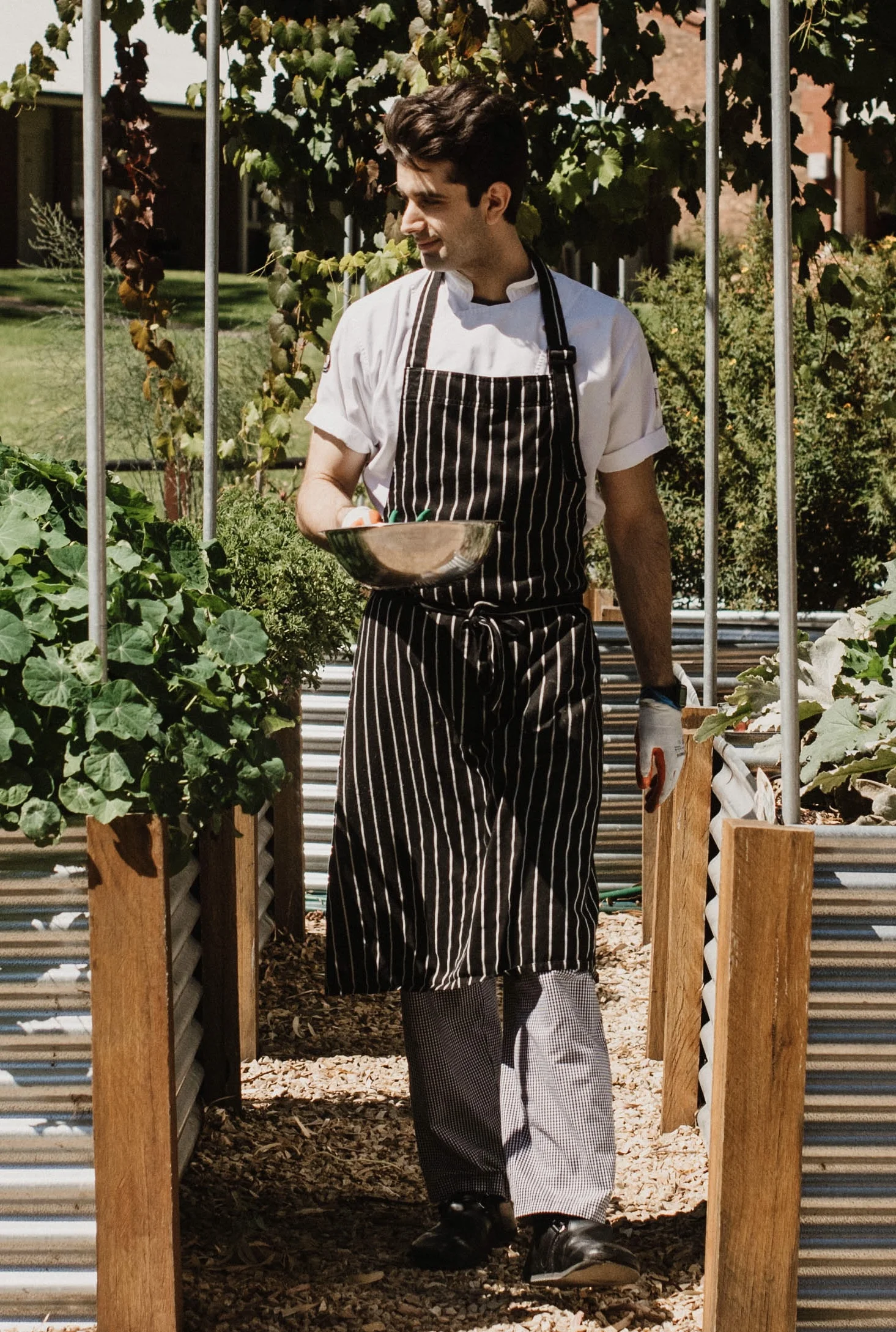 Chef Alberto Occhipinti